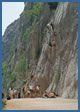 Paklenica rock climbing photograph - Klanci