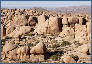Granite domes and boulders of Joshua Tree