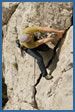Rock climbing photograph at St Julien, near Avignon