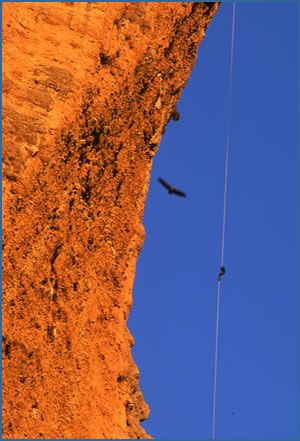 A climber abseiling down La Visera being watched by a Griffon vulture